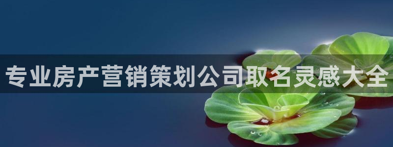 必赢网址谁知道：专业房产营销策