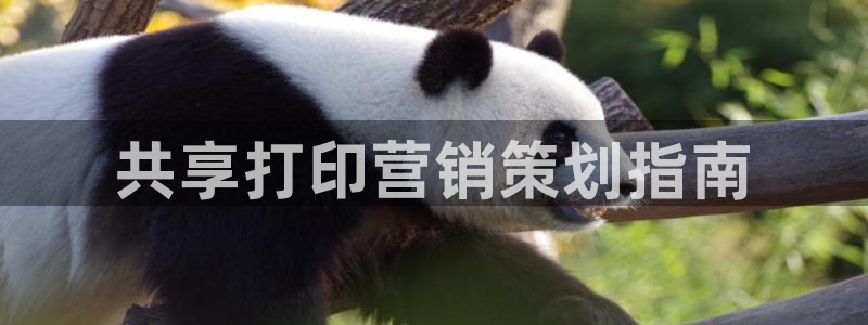 必赢官网网址多少号：共享打印营