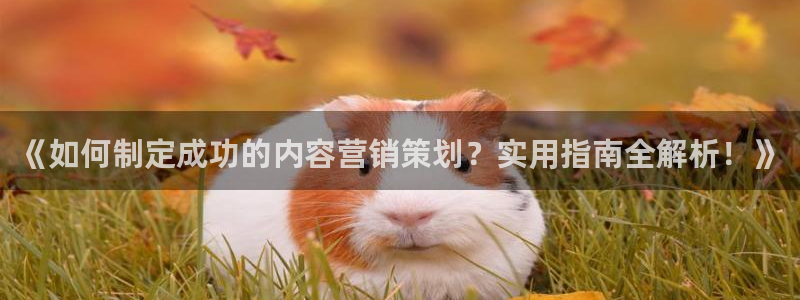 9965必赢游戏app大全