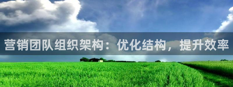 必赢官网app下载安装最新版本