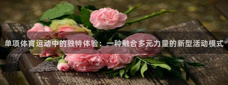 球速体育：单项体育运动中的独特体验：一种融合多元力量的新型活动模式
