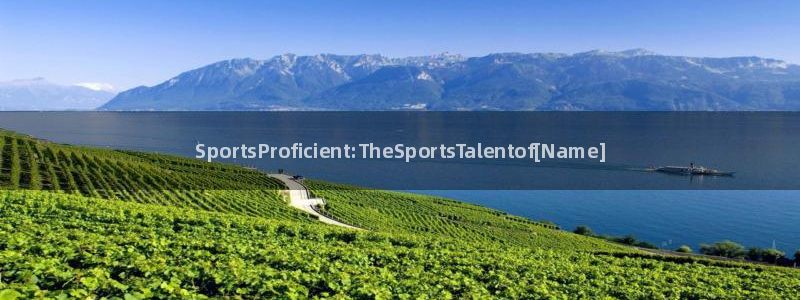 球速体育：SportsProficient:TheSportsTalentof[Name]