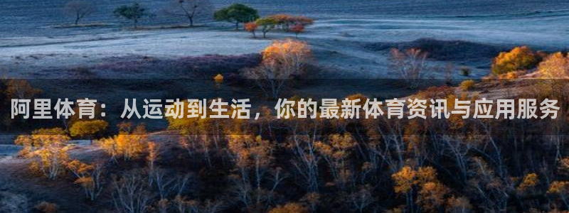 球速体育：阿里体育：从运动到生活，你的最新体育资讯与应用服务