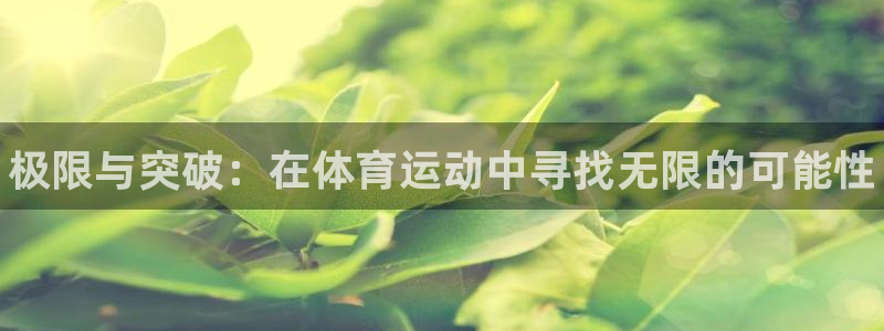 球速体育