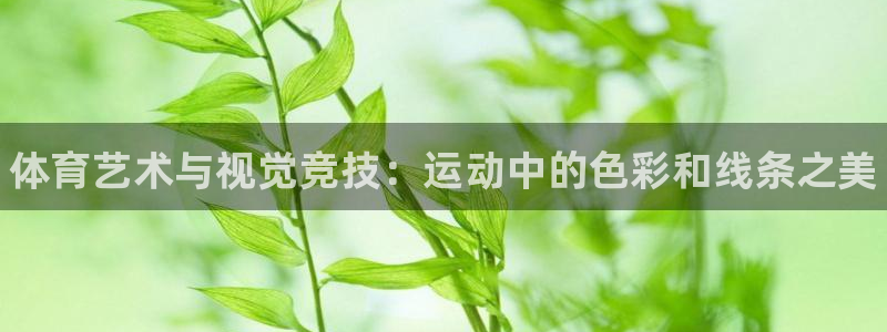 球速体育：体育艺术与视觉竞技：运动中的色彩和线条之美
