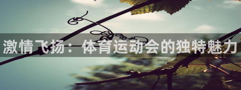 球速体育：激情飞扬：体育运动会的独特魅力