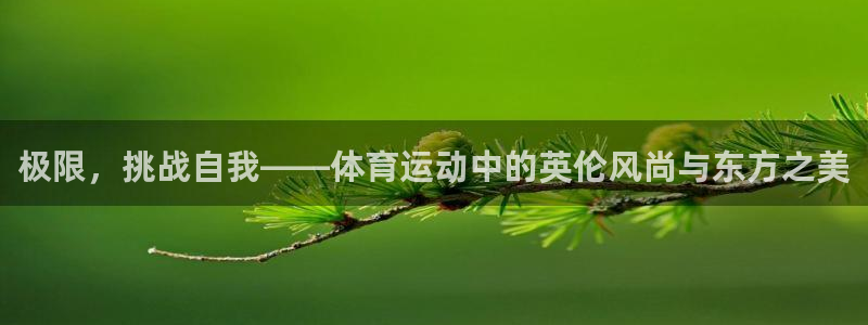 球速体育：极限，挑战自我——体育运动中的英伦风尚与东方之美