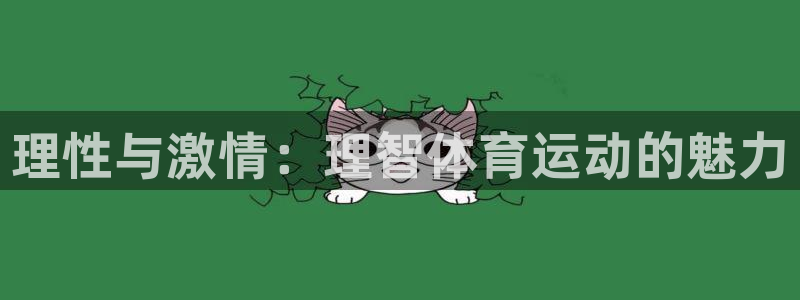 球速体育：理性与激情：理智体育运动的魅力