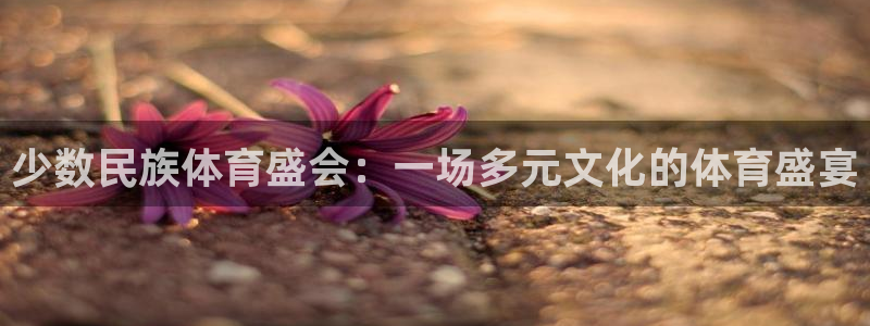 球速体育：少数民族体育盛会：一场多元文化的体育盛宴