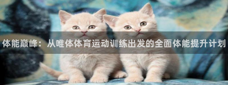 球速体育：体能巅峰：从唯体体育运动训练出发的全面体能提升计划