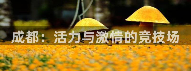 球速体育：成都：活力与激情的竞技场