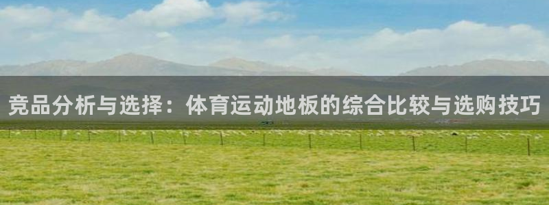 球速体育：竞品分析与选择：体育运动地板的综合比较与选购技巧