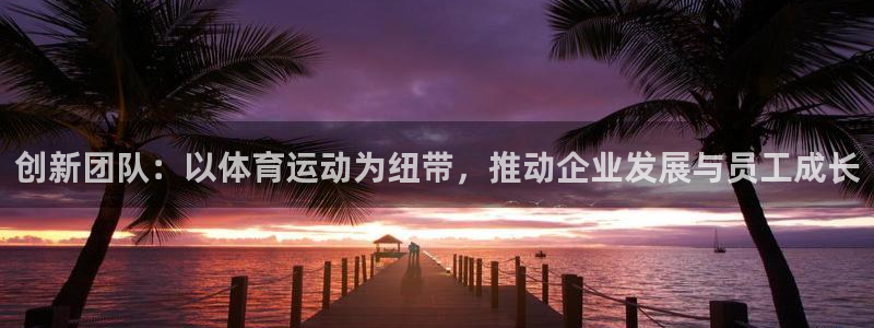 球速体育：创新团队：以体育运动为纽带，推动企业发展与员工成长