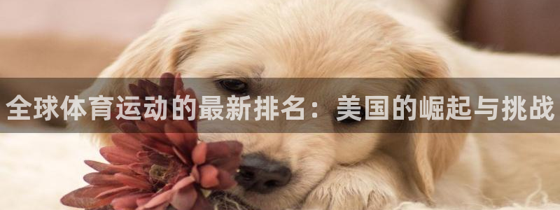 球速体育