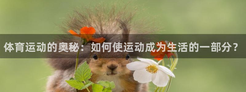 球速体育：体育运动的奥秘：如何使运动成为生活的一部分？