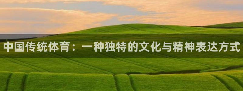 球速体育：中国传统体育：一种独特的文化与精神表达方式