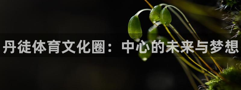 球速体育：丹徒体育文化圈：中心的未来与梦想