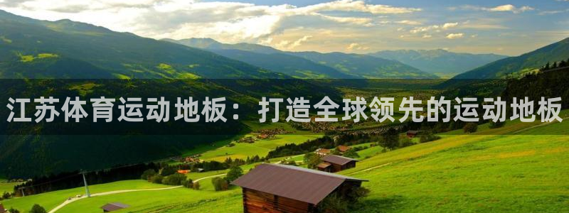 球速体育：江苏体育运动地板：打造全球领先的运动地板