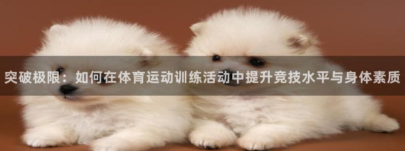 球速体育：突破极限：如何在体育运动训练活动中提升竞技水平与身体素质