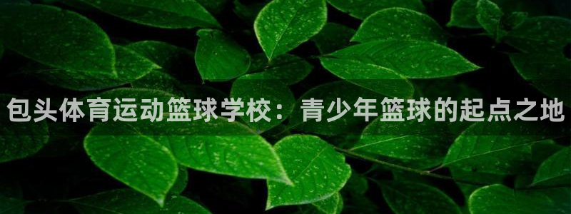 球速体育：包头体育运动篮球学校：青少年篮球的起点之地