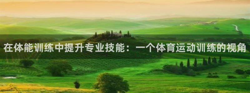 球速体育：在体能训练中提升专业技能：一个体育运动训练的视角
