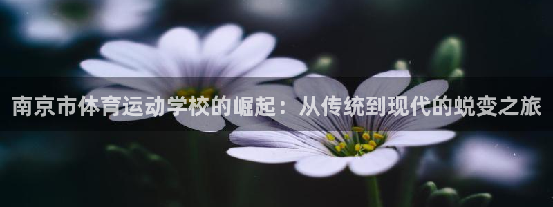 球速体育：南京市体育运动学校的崛起：从传统到现代的蜕变之旅