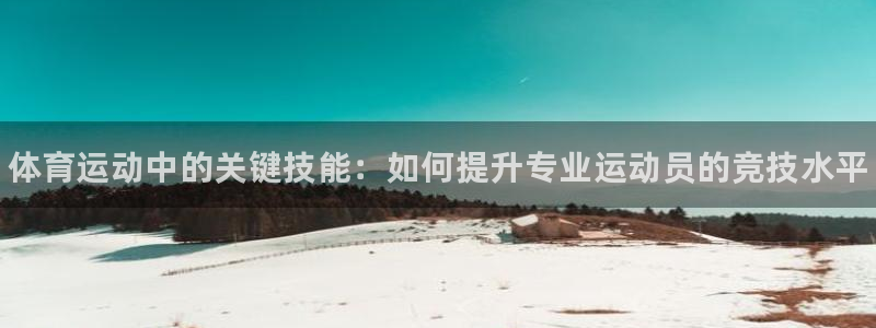 球速体育
