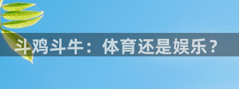 球速体育：斗鸡斗牛：体育还是娱乐？