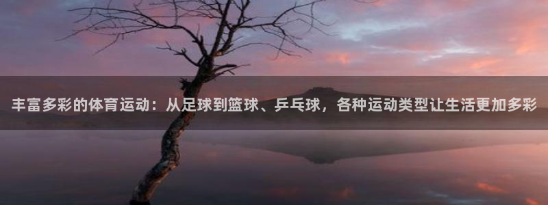 球速体育：丰富多彩的体育运动：从足球到篮球、乒乓球，各种运动类型让生活更加多彩