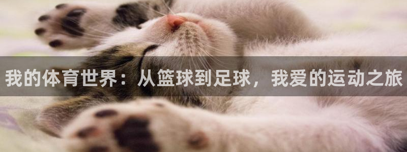 球速体育：我的体育世界：从篮球到足球，我爱的运动之旅