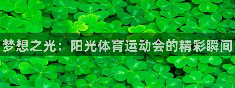 球速体育：梦想之光：阳光体育运动会的精彩瞬间