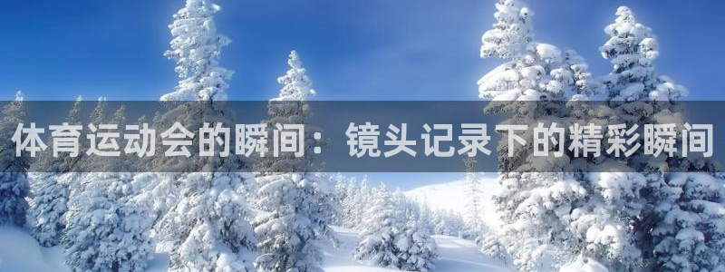 球速体育：体育运动会的瞬间：镜头记录下的精彩瞬间