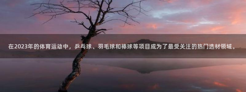 球速体育：在2023年的体育运动中，乒乓球、羽毛球和棒球等项目成为了最受关注的热门选材领域。
