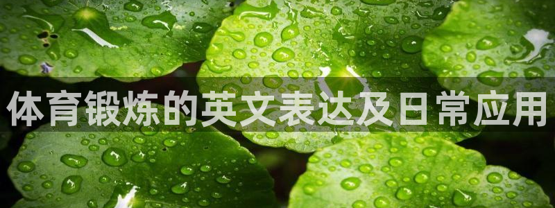 球速体育：体育锻炼的英文表达及日常应用