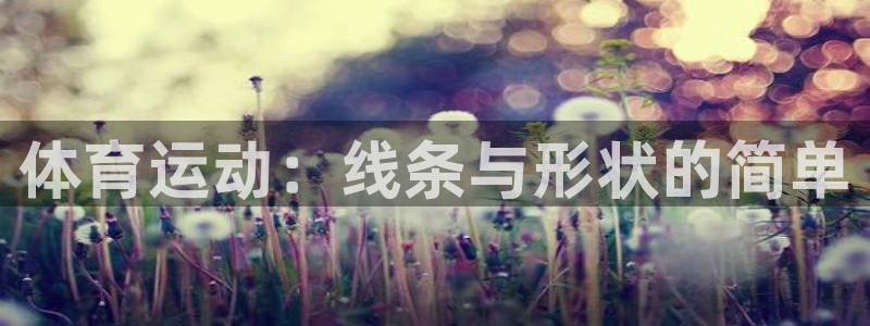 球速体育：体育运动：线条与形状的简单