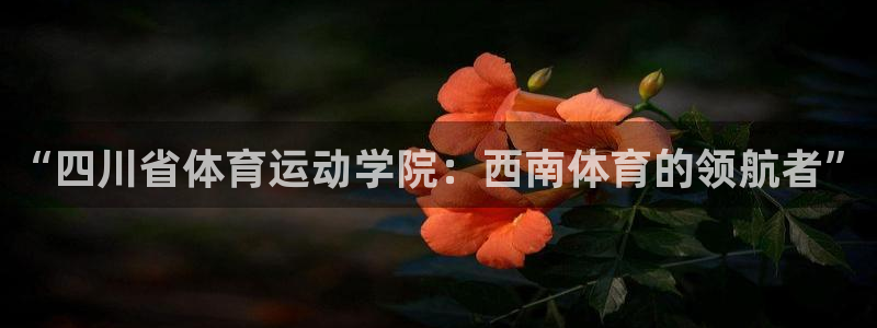球速体育：“四川省体育运动学院：西南体育的领航者”