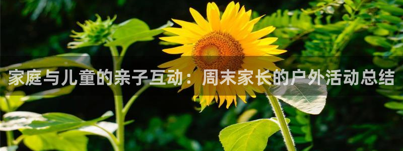 球速体育：家庭与儿童的亲子互动：周末家长的户外活动总结
