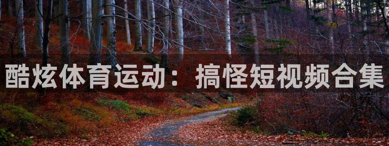 球速体育：酷炫体育运动：搞怪短视频合集