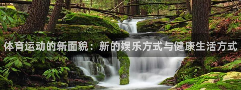 球速体育