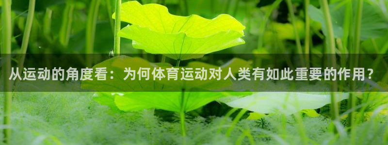 球速体育：从运动的角度看：为何体育运动对人类有如此重要的作用？