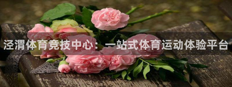 球速体育：泾渭体育竞技中心：一站式体育运动体验平台