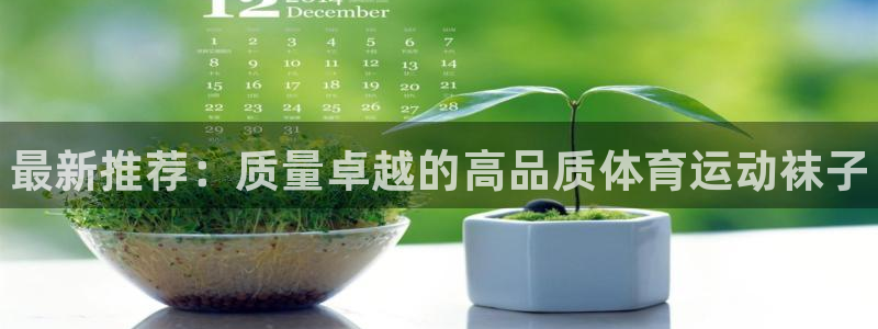 球速体育：最新推荐：质量卓越的高品质体育运动袜子