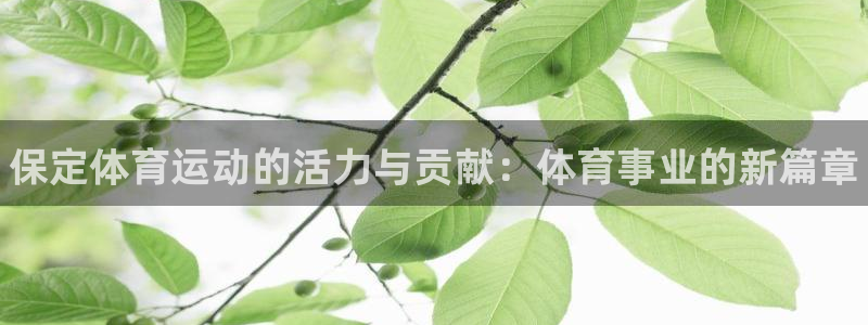 球速体育：保定体育运动的活力与贡献：体育事业的新篇章