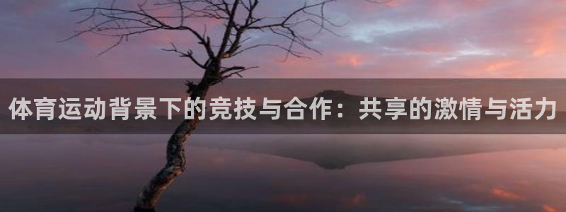 球速体育：体育运动背景下的竞技与合作：共享的激情与活力