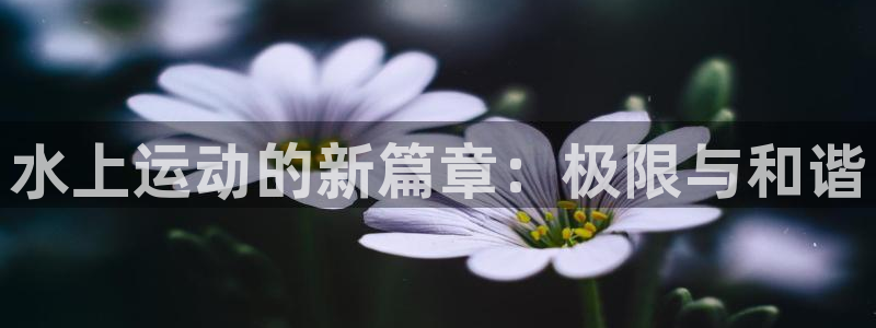 球速体育：水上运动的新篇章：极限与和谐