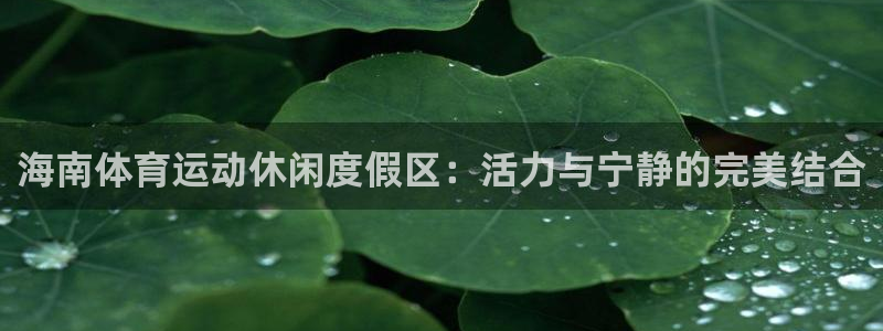 球速体育：海南体育运动休闲度假区：活力与宁静的完美结合