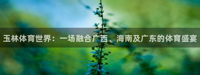 球速体育：玉林体育世界：一场融合广西、海南及广东的体育盛宴