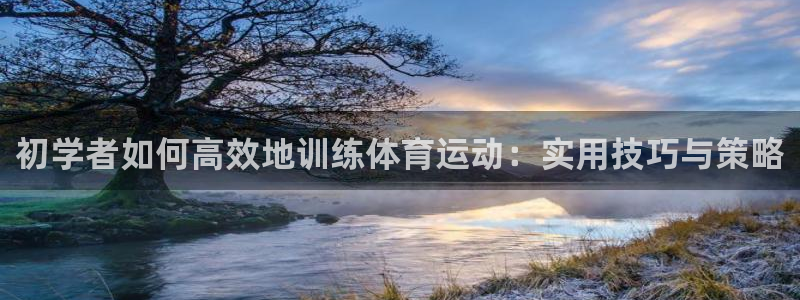 球速体育：初学者如何高效地训练体育运动：实用技巧与策略