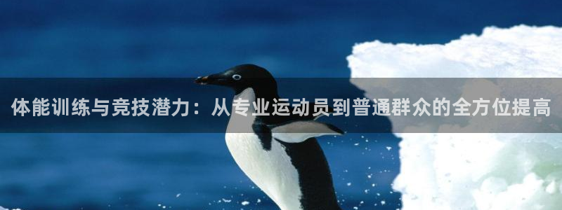 球速体育：体能训练与竞技潜力：从专业运动员到普通群众的全方位提高