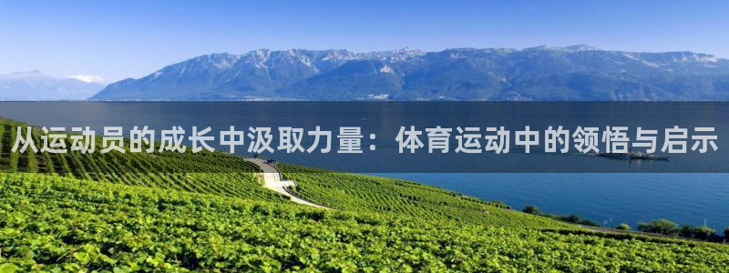 球速体育：从运动员的成长中汲取力量：体育运动中的领悟与启示